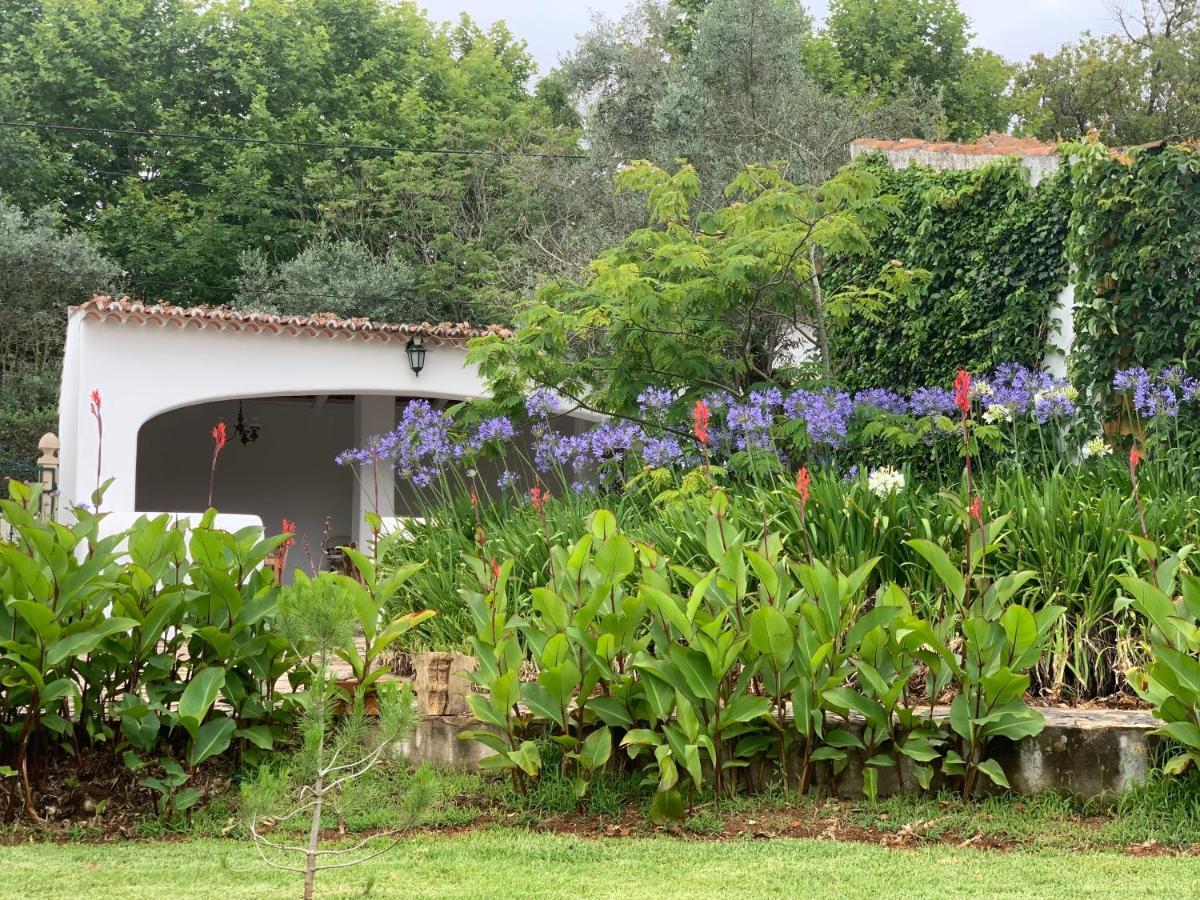 Apartamento Quinta dos Girassóis FZ Ferreira do Zêzere Exterior foto