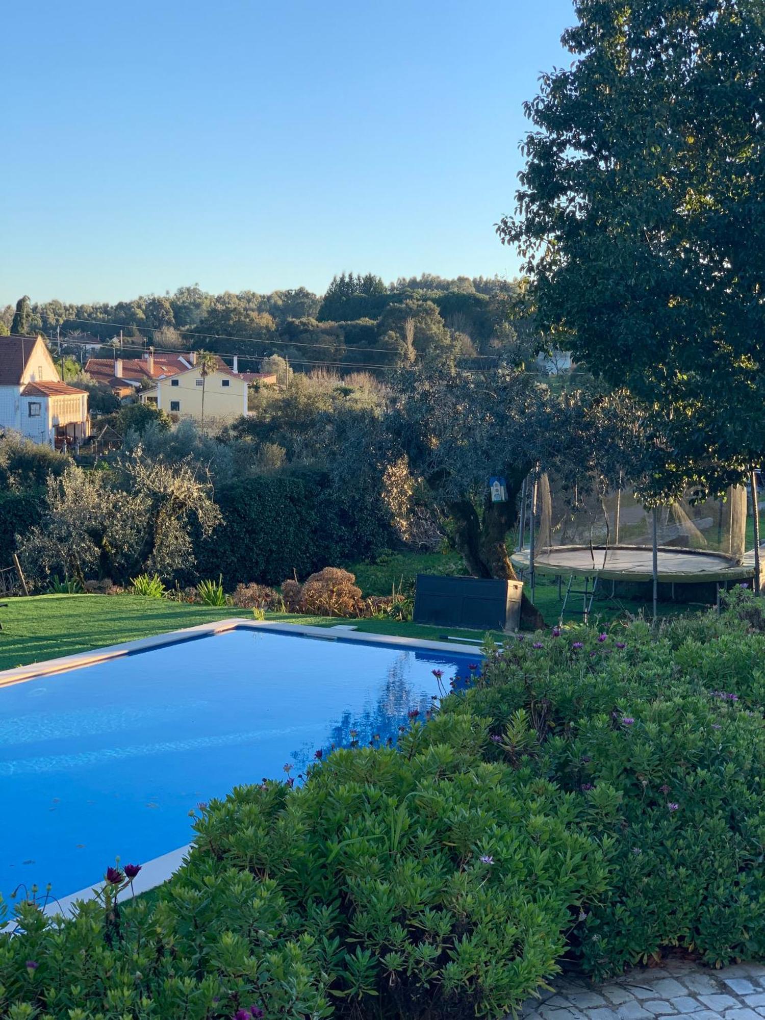 Apartamento Quinta dos Girassóis FZ Ferreira do Zêzere Exterior foto